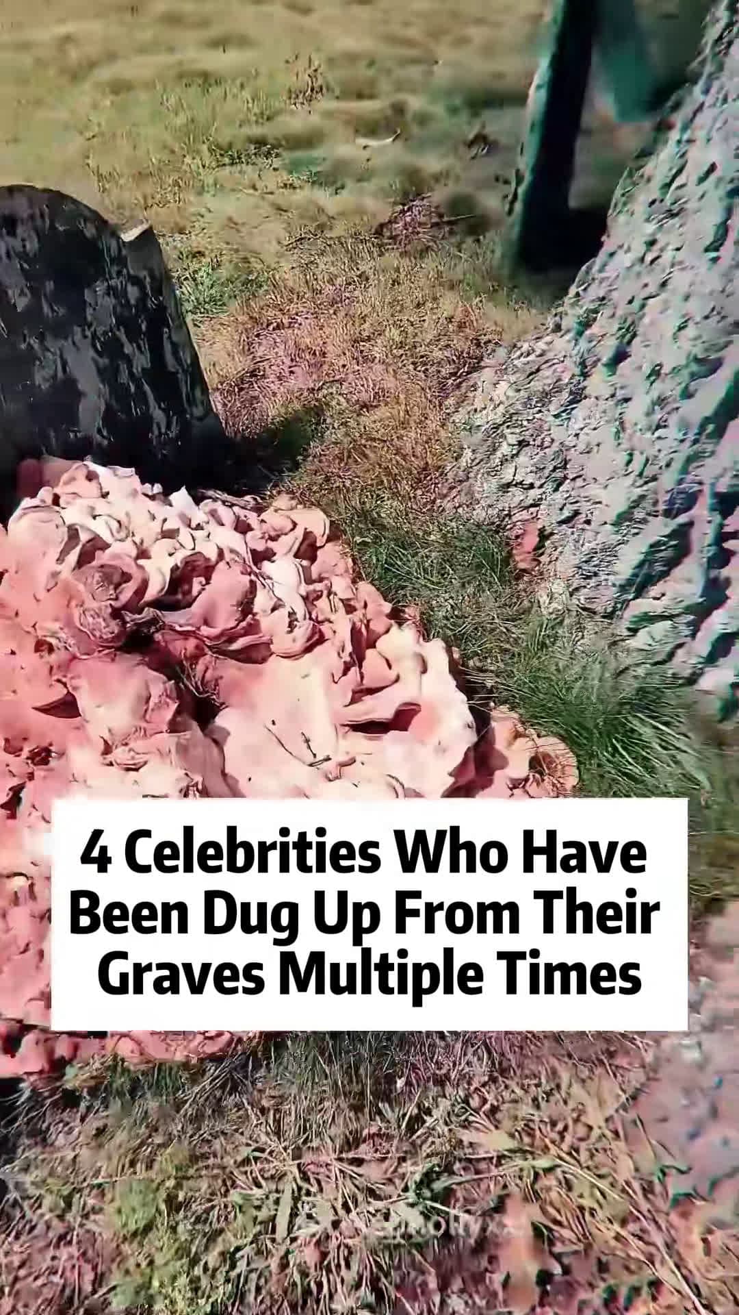 cover for #CaughtOnCamera 4 celebrities have been dug up from graves multiple times #celebrity #celeb #art #cute #movie #influencer #news #makeup #instadaily #star #likeforlikes #celebrityfashion #movies #celebrities #style #music #explore #foryoupage #fyp #viral 