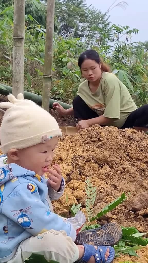 cover for Pregnant Mother  Digging the foundation and the process of completing the bamboo toilet 62175 #us