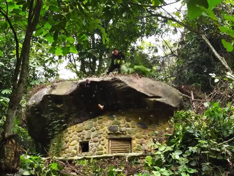 cover for Survive overnight in an abandoned shelter in the rainforest. Wildlife wildbuilding 87499 #trend