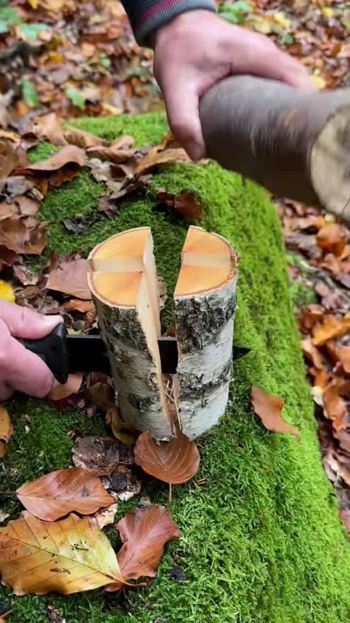 cover for This Trick Will Surprise You! 😱💯 #camping #lifehacks #outdoors #bushcraft #survival #skills #ideas #forest