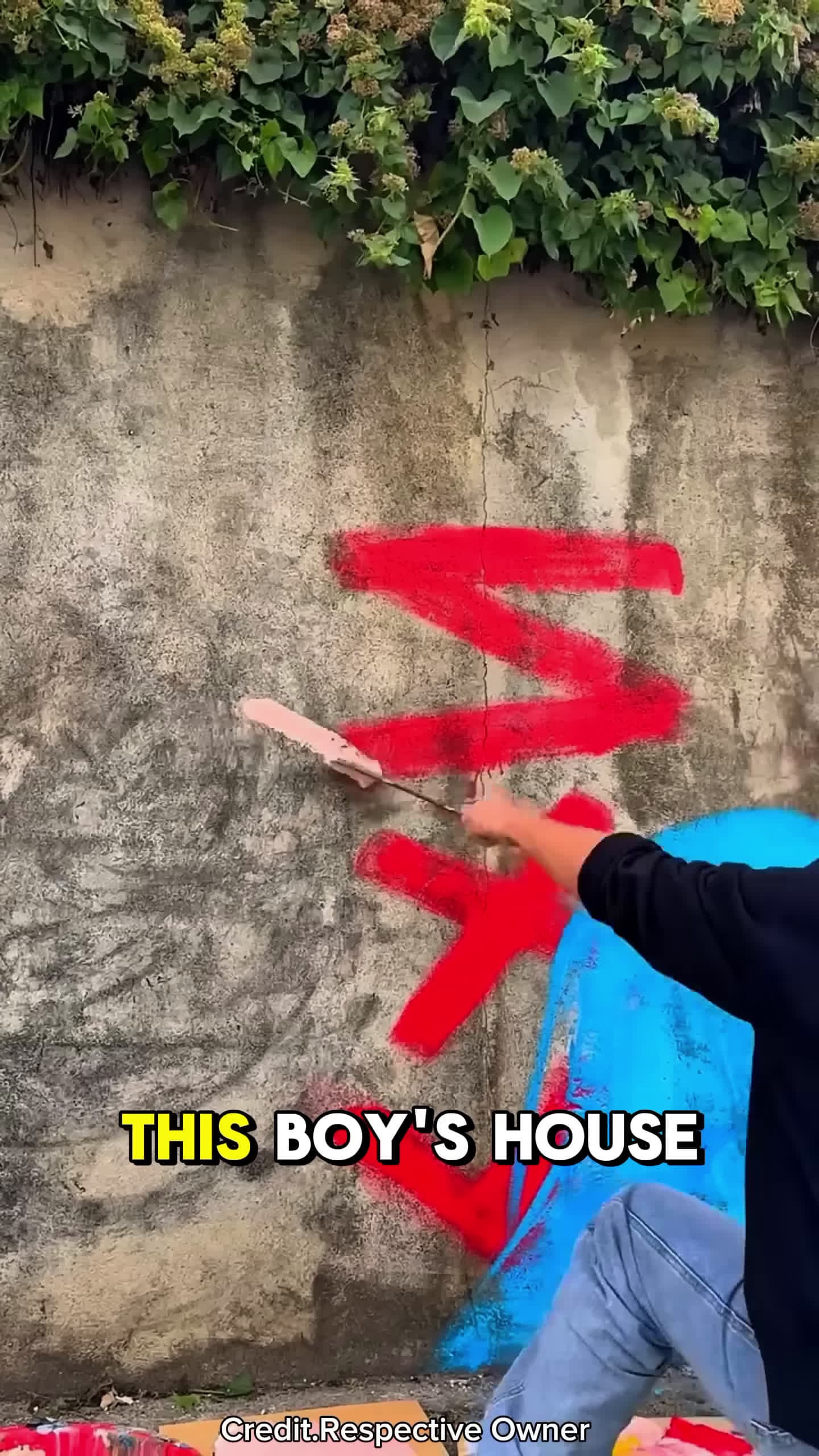 cover for From Boring Wall to Masterpieceshortsvideo