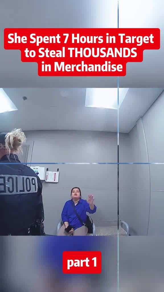 cover for She Spent 7 Hours In Target To Steal THOUSANDS In Merchandise #cops #police #policeofficer #scoopz  #viral 