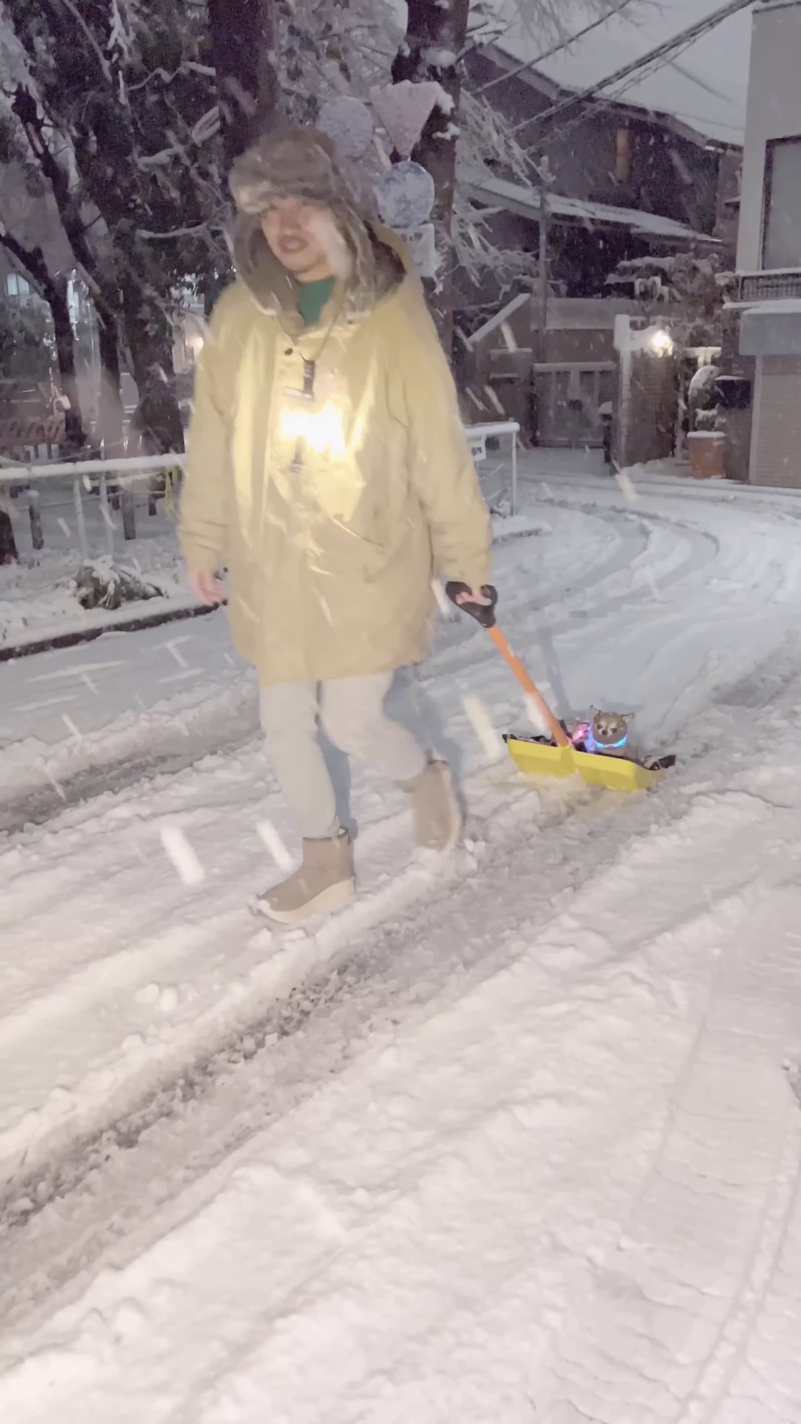 cover for #CaughtOnCamera Two Precious Puppies Riding a Shovel as Man Pulls It in the Snow.