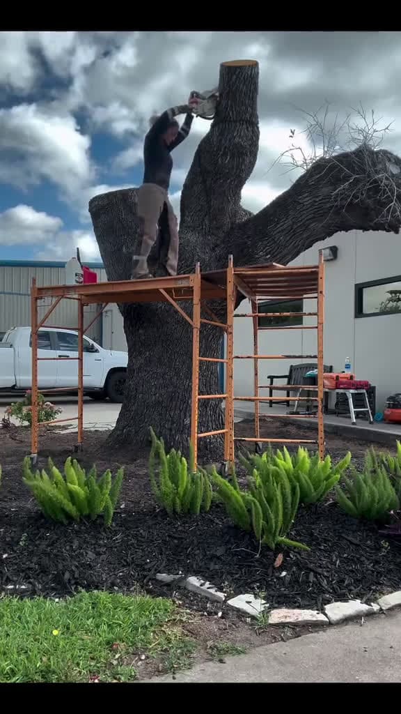 cover for Would you let her cut down your tree?😂 . @chainsawdella . #woodart #sculpture #woodartist #chainsaw #tree created by Official Arts Help with Official Arts Help’s original sound - Official Arts Help