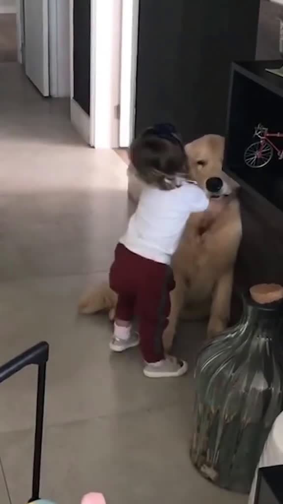 cover for The end they re good friends dog baby Love pet lovestory bestfriend cute digsoftiktok fory 10382 #trend