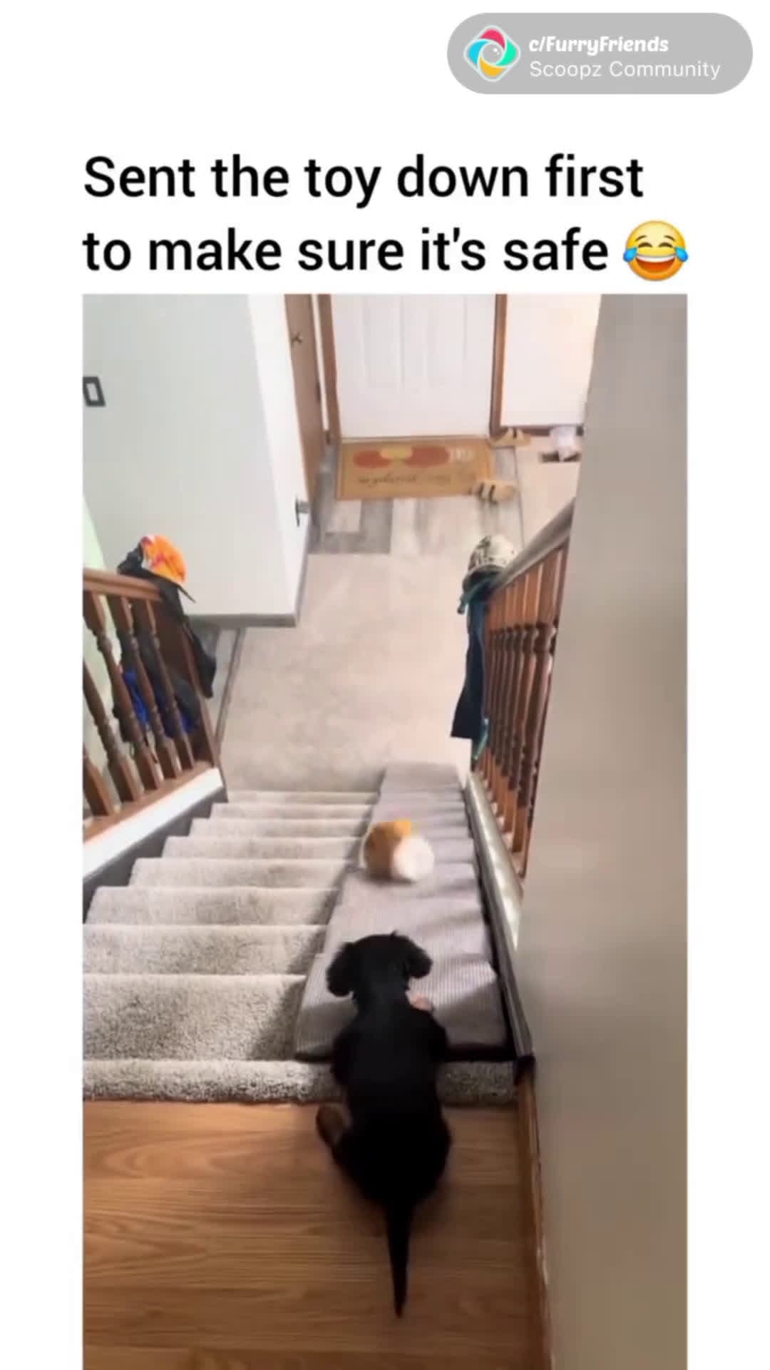 cover for Smart lil guy! Cant get much cuter then this!🥰