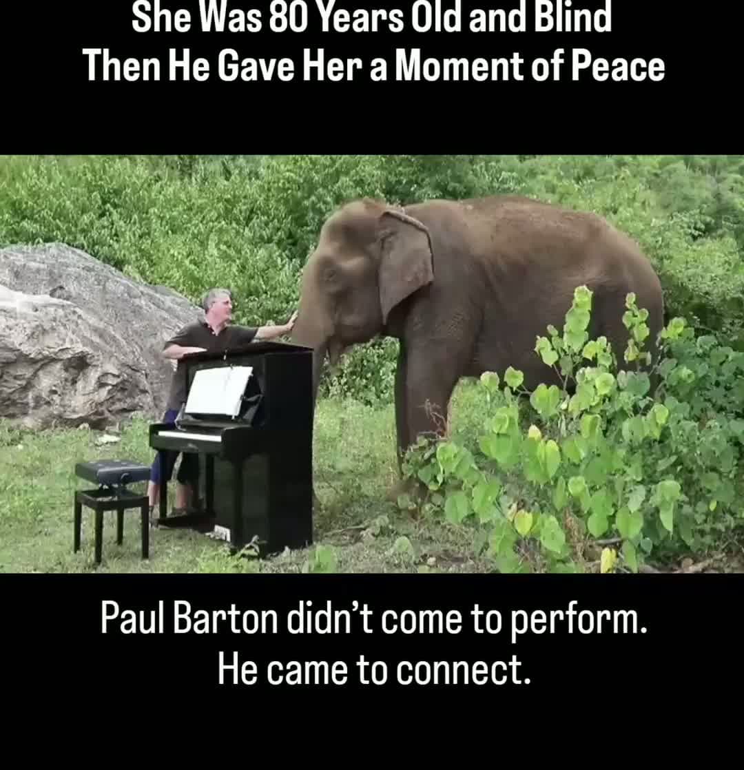 cover for She Was 80 Years Old and BlindThen He Gave Her a Moment of Peace #SpreadTheLove#ThePawfectMoment