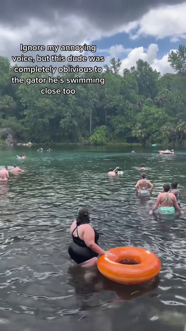 cover for Just another day swimming with a gator in Florida! 🐊 #FloridaLife #GatorEncounter #SwimmingAdventure