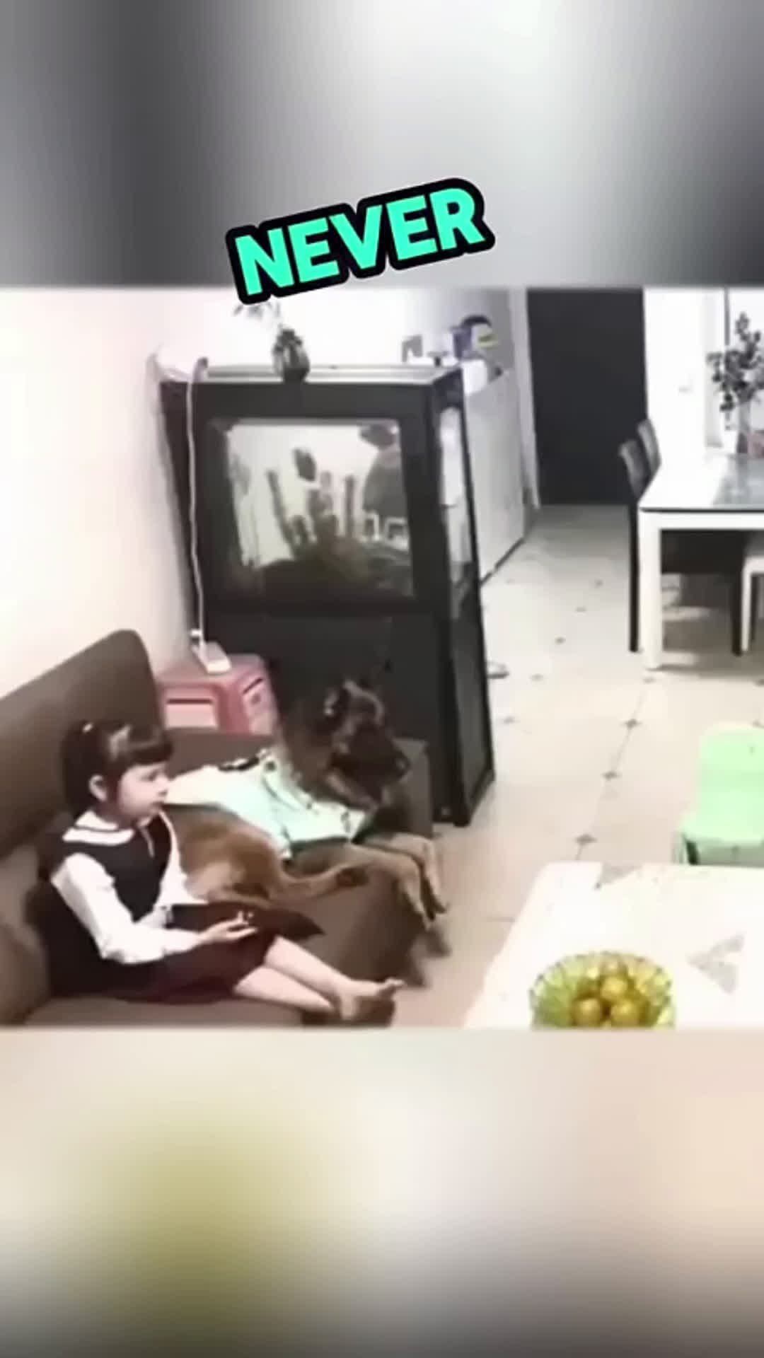 cover for Doggo forced the owner to do homework 🥺 #dog #kindness #sad