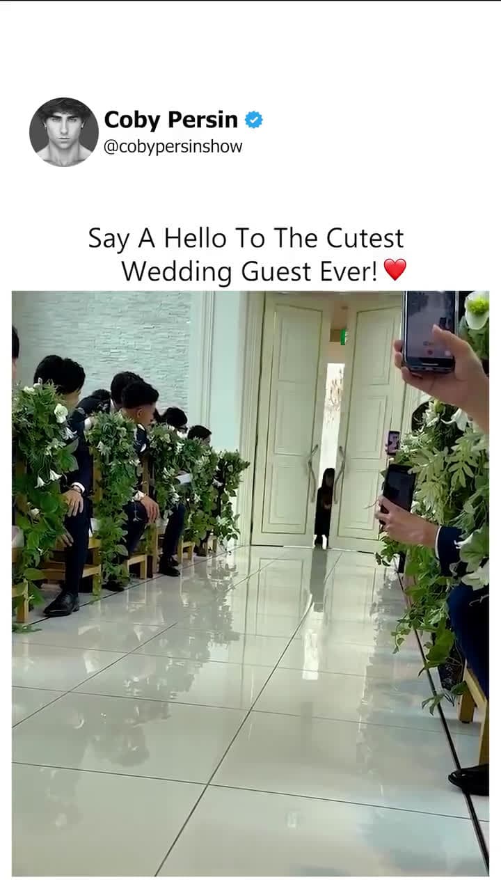 cover for Cutest wedding guest stealing the spotlight! 🥰 #WeddingMoments #TooCute #AdorableGuest