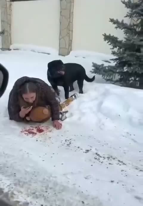 cover for This happened in Yekaterinburg, Russia, where a hero mother immediately covered and protected her 5-year-old son from being attacked by a Rottweiler. Thankfully, her son is OK! She was taken to the hospital for her hand bites.
