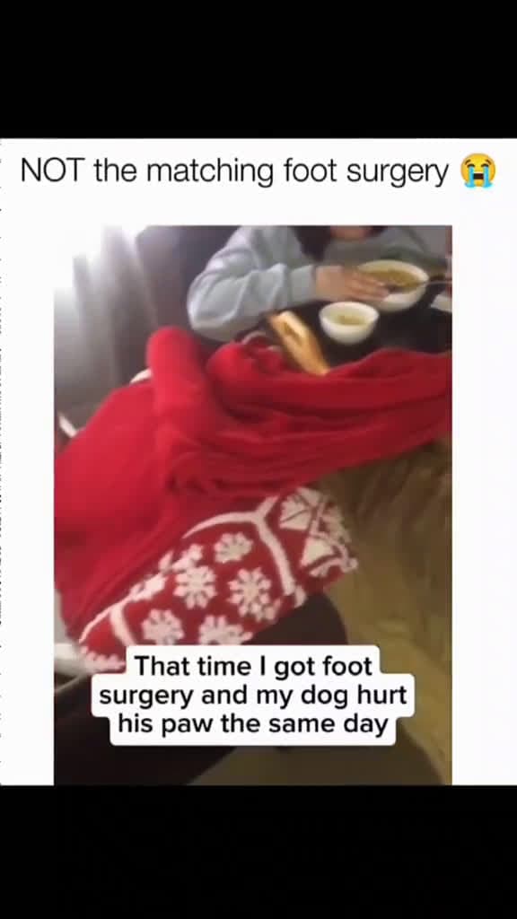 cover for Fast! Link in bio ⚡"  #pawfectga #pawfectpetsbyga #pawfectlyfunnyga #gaflufffails #gafloofsquad #onlyatpawfectga #gacomedycrew #dailyderpga #lolpetsga #funnypetsbyga #lolsbyga #lolsbygaclips #petlaughsga #gacomedypets 