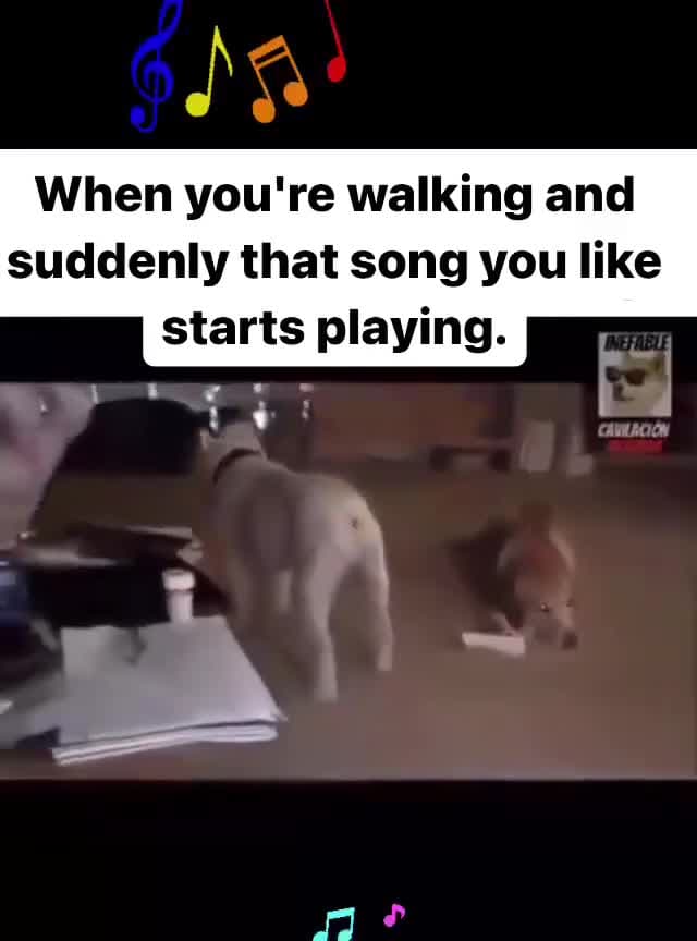 cover for Dog was feeling it🐕🙂