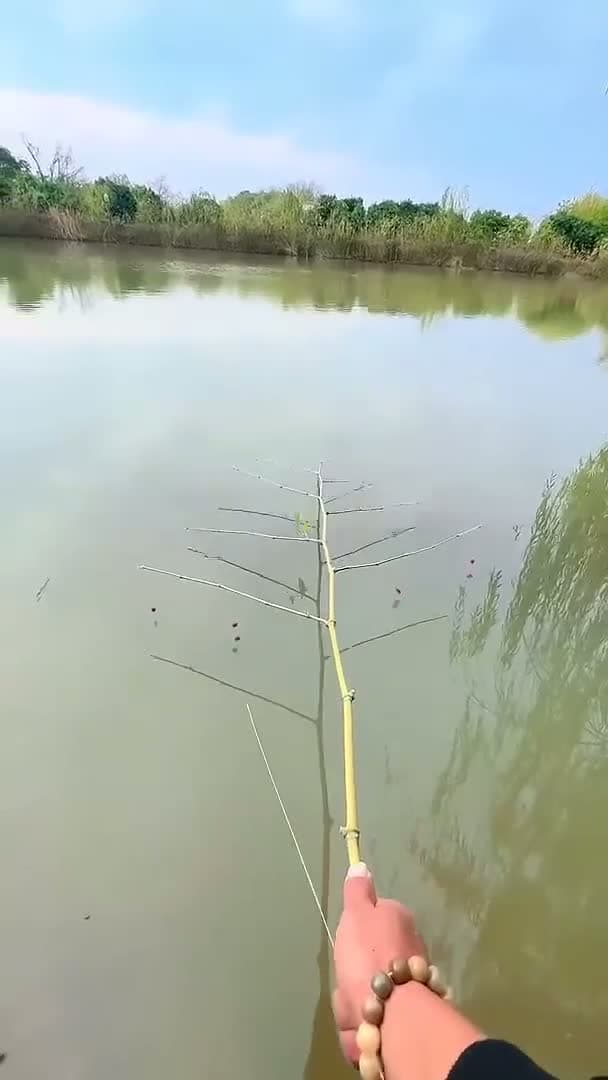 cover for ⭕Experience immersive fishing#Incredible fishing way #fisherman #outdoors # This is a master #fyp #foryou #scoopz #crazy #foryoupage 