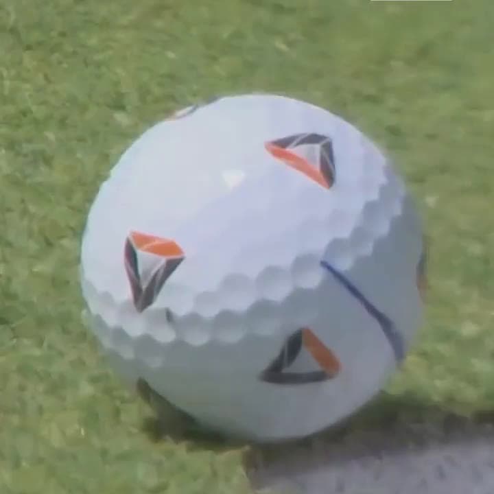 cover for When a fly becomes the unexpected caddie and helps sink the ball! 🏌️‍♂️🐝 #GolfMagic #UnexpectedHelp #SportsMoments