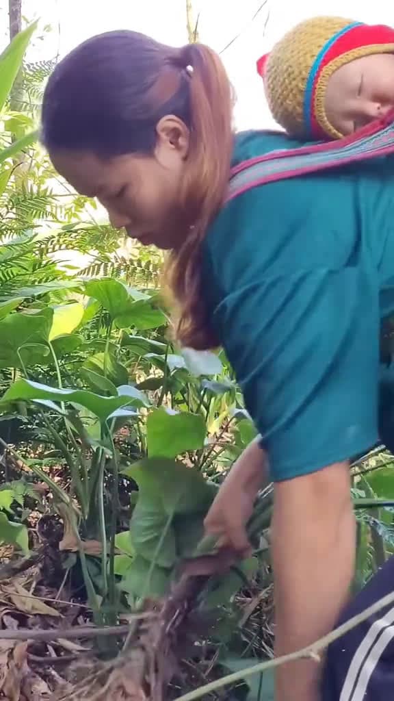 cover for Pregnant mother  Go dig up wild tubers to sell. Buy instant noodles and eggs to take home 11019 #followMe