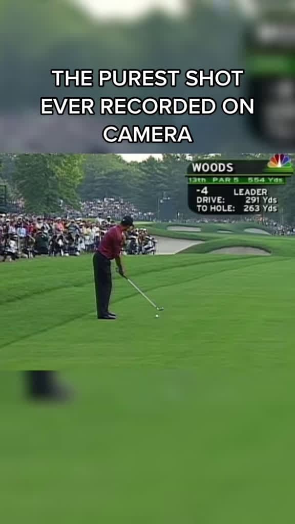 cover for Watch Tiger Woods' epic roast of his approach shot at the 2002 US Open! 🏌️‍♂️ #TigerWoods #GolfLegend #USOpen