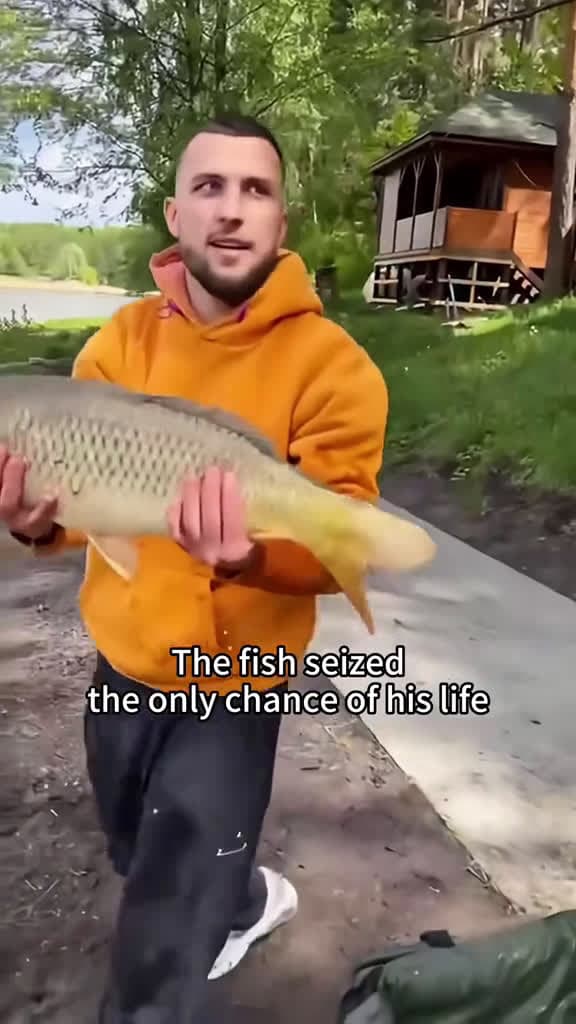 cover for The fish is trying his best to keep living😂😂#fish #fishesoftiktok #fishes #animals #fyp #fypシ #funny #foryou #foryoupage #funnyvideos #funnytiktok