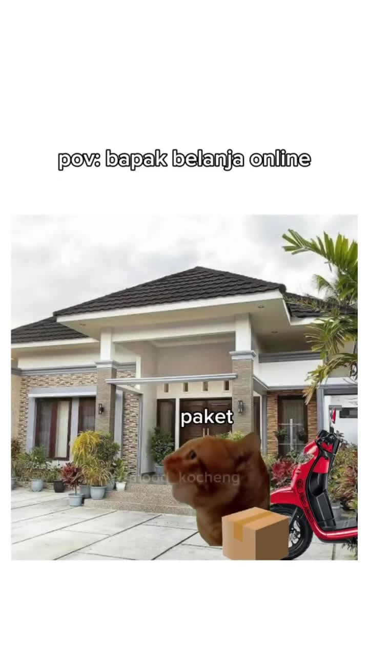 cover for dia adalah bapak kita semua Follow @gemoimedia untuk lebih banyak konten kucing lucu lainnya, update setiap hari gabung komunitas pecinta kucing terbesar di indonesia klik lin