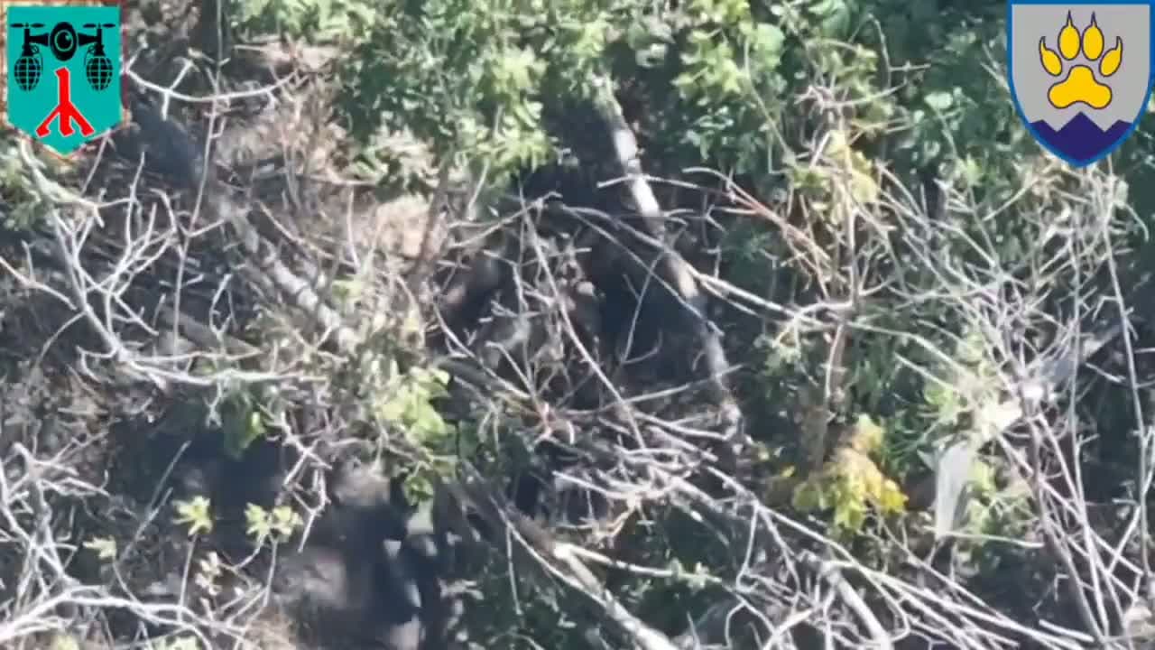 cover for Shocking footage: Russian soldier takes his own life with a knife on Zaporizhzhia front (NSFW) ⚠️ #WarFootage #Zaporizhzhia #UkraineConflict #NSFW