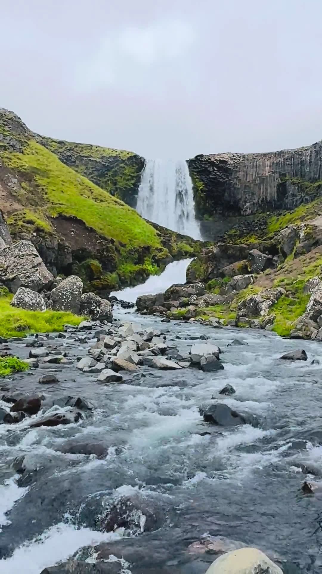 cover for Chasing the mist at Svöðufoss, Iceland — August 8, 2025 💧 #Svodufoss #Iceland #Waterfall #NatureLovers #Travel