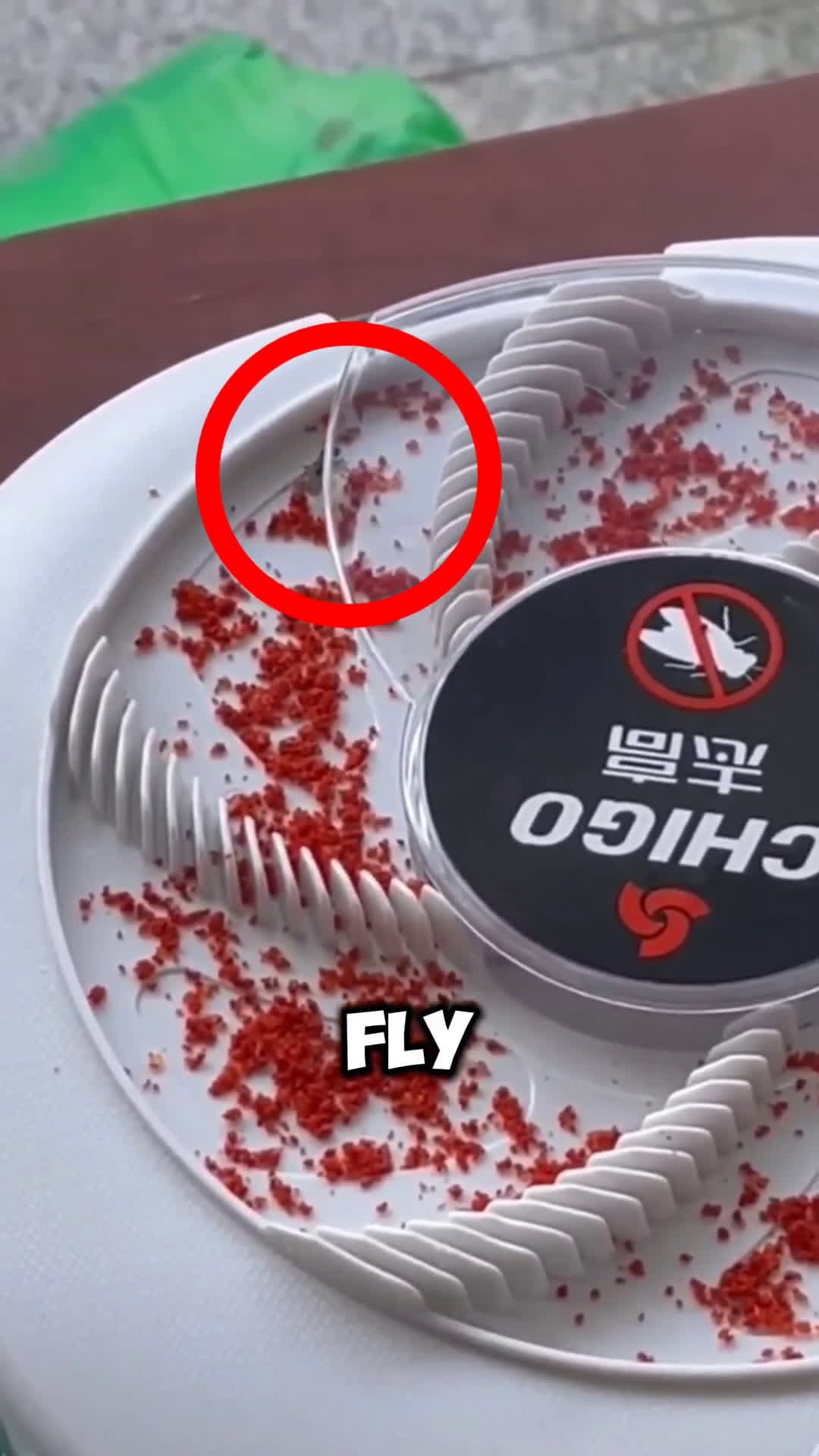 cover for Unique Way To Trap Flies