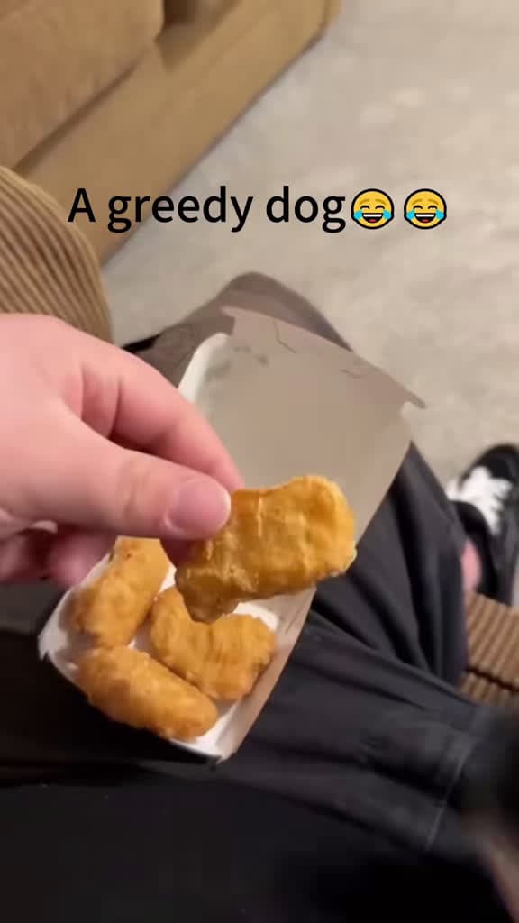 cover for When your dog wonβt share the snacks! π #FunnyDog #DogLife #PetHumor