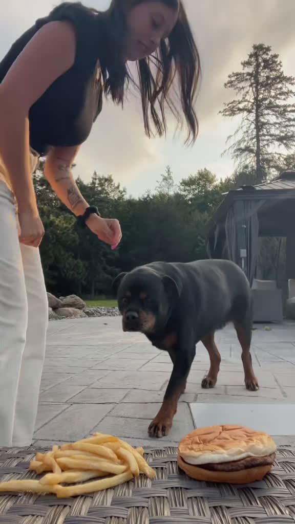 cover for When your dog devours a hamburger in one bite π #DogFails #FunnyPets #EpicBite